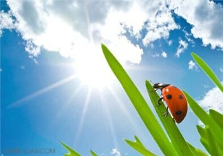 三伏天怎樣飲食？三伏天不宜做哪些事？