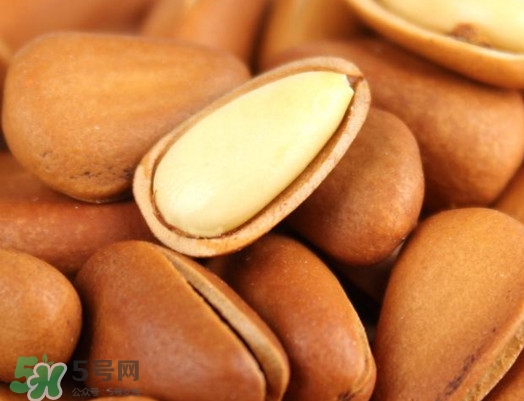 松籽多少錢一斤？松籽怎么炒能開口