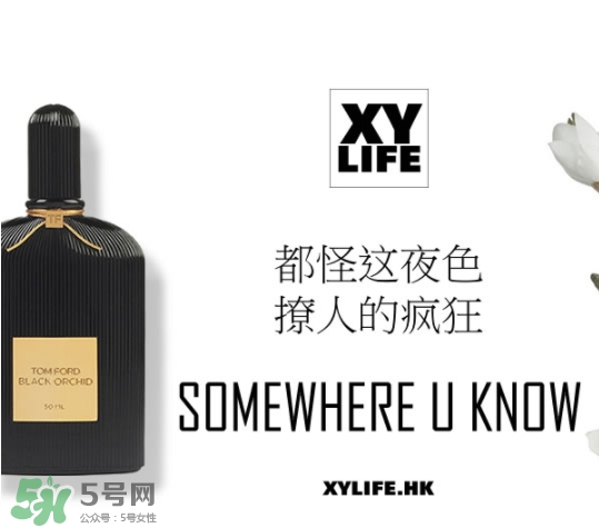 tom ford午夜蘭花香水多少錢？午夜蘭花香水專柜價格