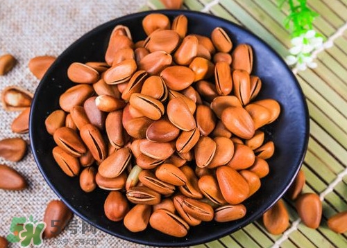 松籽什么季節(jié)采摘？吃松籽有什么好處？