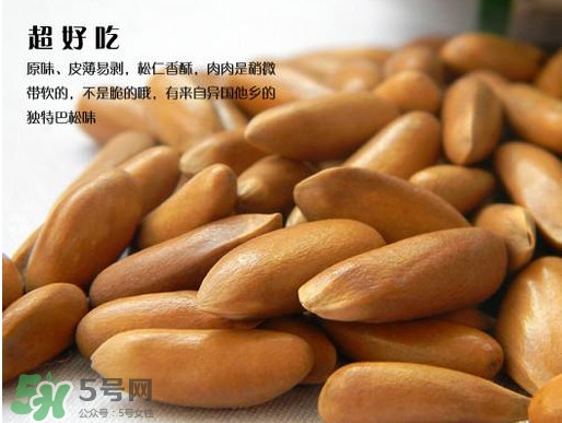 松籽過期還能吃嗎？松籽出芽是怎么回事