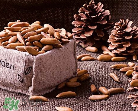 松籽好吃嗎？松籽怎么吃