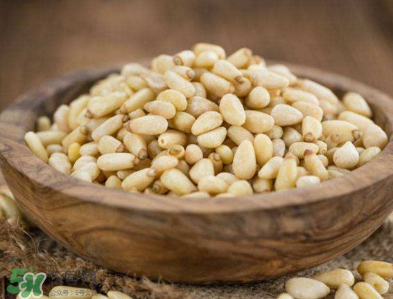 松籽是什么樹結(jié)的？松子還是松籽？