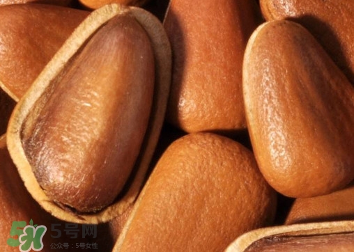松籽什么季節(jié)采摘？吃松籽有什么好處？