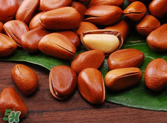 松子不能和什么一起吃？松子什么人不能吃