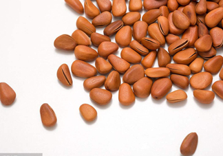 松籽多少錢一斤？松籽怎么炒能開口