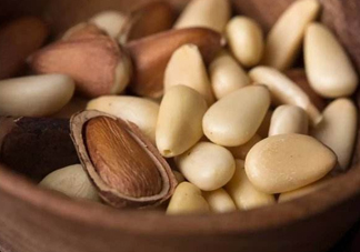 松籽有什么營養(yǎng)價值？松籽仁的功效與作用