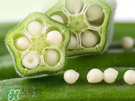 羊角豆是發(fā)物嗎_羊角豆是秋葵嗎 羊角豆是發(fā)物嗎_羊角豆是秋葵嗎