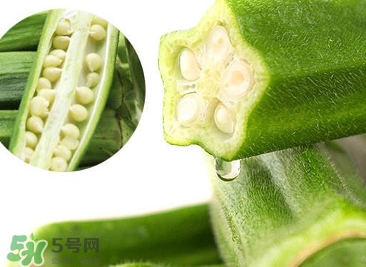 羊角豆是發(fā)物嗎_羊角豆是秋葵嗎 羊角豆是發(fā)物嗎_羊角豆是秋葵嗎