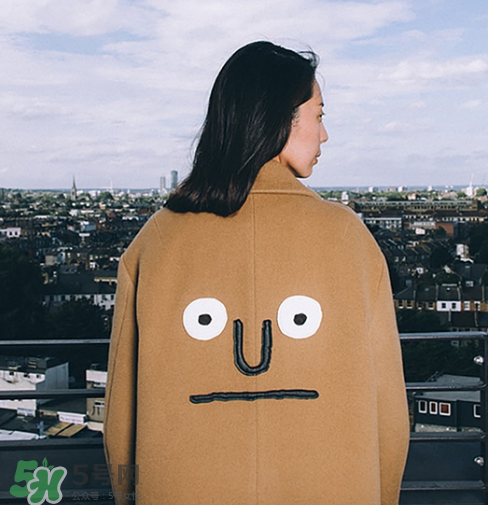 stereo vinyls是什么牌子？stereo vinyls是什么檔次？