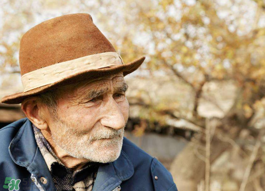 腦血栓是什么原因引起的？腦血栓是怎樣形成的？