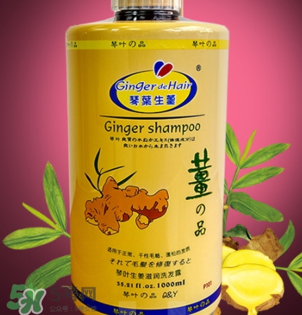 琴葉洗發(fā)水是哪國(guó)的？琴葉洗發(fā)水是幾線品牌