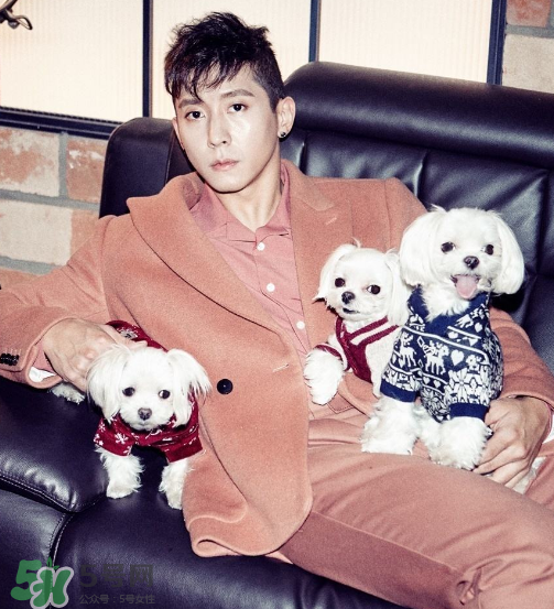 beyond closet是什么牌子？beyond closet是什么檔次？