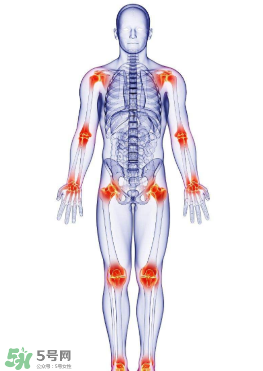 風(fēng)濕要怎么調(diào)理？風(fēng)濕要吃什么食物調(diào)養(yǎng)？