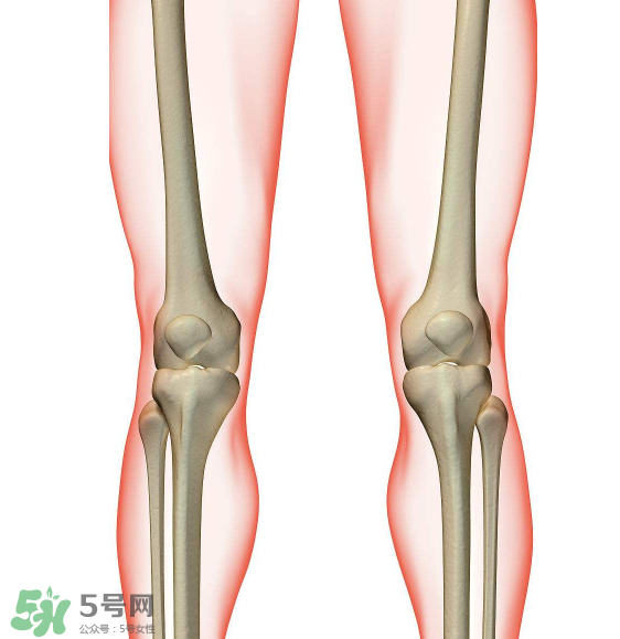 風(fēng)濕要看什么科？風(fēng)濕要掛什么科？