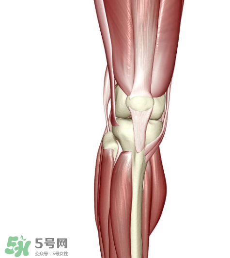 風(fēng)濕會(huì)影響懷孕嗎？風(fēng)濕會(huì)遺傳嗎？