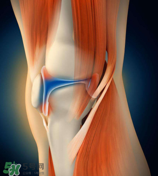 風(fēng)濕會(huì)引起腰痛嗎？風(fēng)濕會(huì)引起手麻嗎？