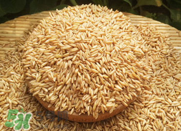 燕麥容易過敏嗎？燕麥容易過敏嗎？