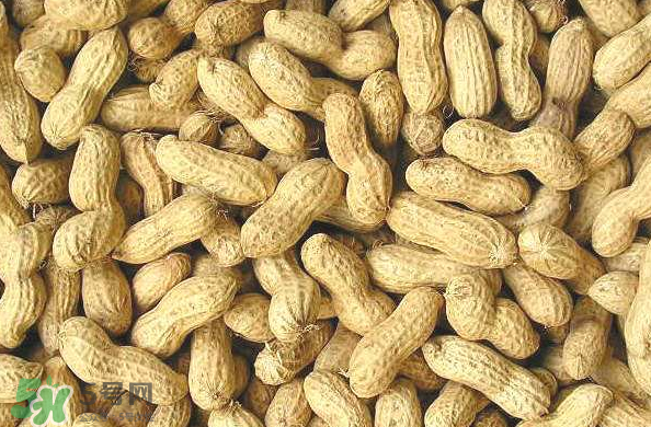 花生能減肥嗎？食用花生的注意事項(xiàng)