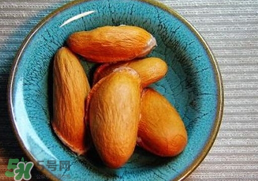 榴蓮籽能種嗎？榴蓮籽怎么種小盆栽？