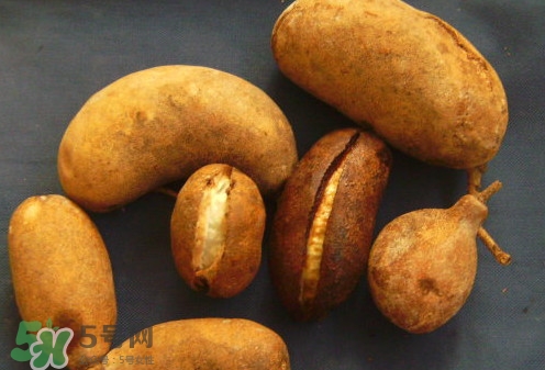 八月炸和八月扎有區(qū)別嗎？八月炸能泡酒嗎