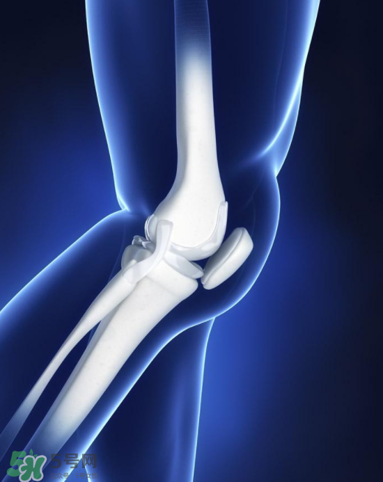 風(fēng)濕可以吃螃蟹嗎？得了風(fēng)濕能吃螃蟹嗎？