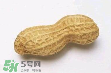 花生有哪些種類型？花生怎么栽培管理？