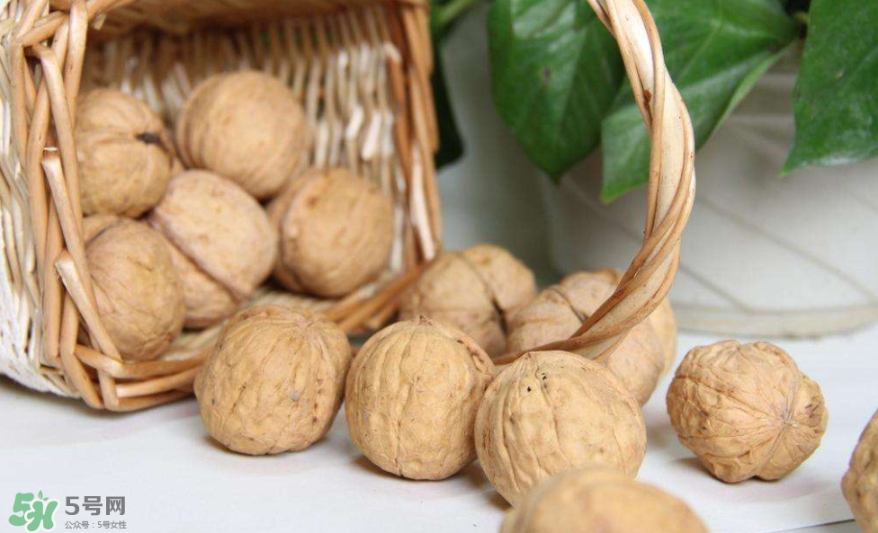 核桃組有哪些？核桃的栽培技術(shù)是什么？