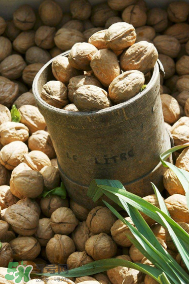 核桃酒是什么？核桃酒的功效是什么？