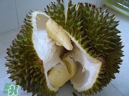 榴蓮和雞蛋能一起吃嗎？榴蓮和什么不能一起吃？