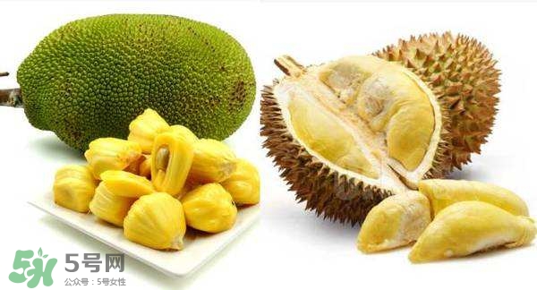 榴蓮和菠蘿蜜一樣嗎？榴蓮和菠蘿蜜哪個(gè)營(yíng)養(yǎng)好？