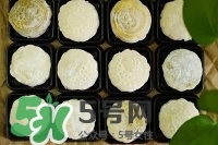 榴蓮冰皮月餅的做法？榴蓮冰皮月餅價格