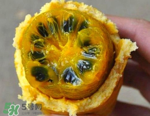 八月炸適合哪里種植？八月炸作用和功效是什么