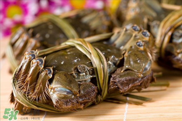 螃蟹里面的黃是什么 螃蟹里什么不能吃 螃蟹里面的黃是什么 螃蟹里什么不能吃