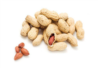 芽苗蔬菜是什么？花生衣有什么用？