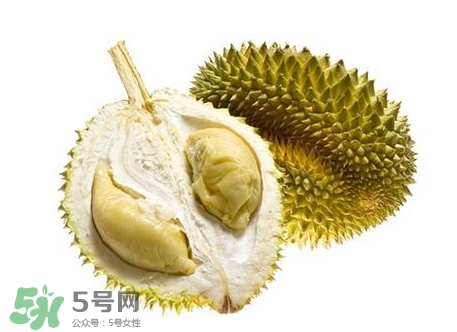 榴蓮籽能種嗎？榴蓮籽怎么種小盆栽？