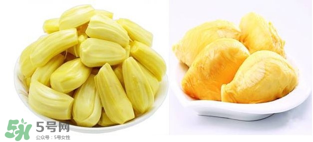 榴蓮和菠蘿蜜一樣嗎？榴蓮和菠蘿蜜哪個(gè)營(yíng)養(yǎng)好？