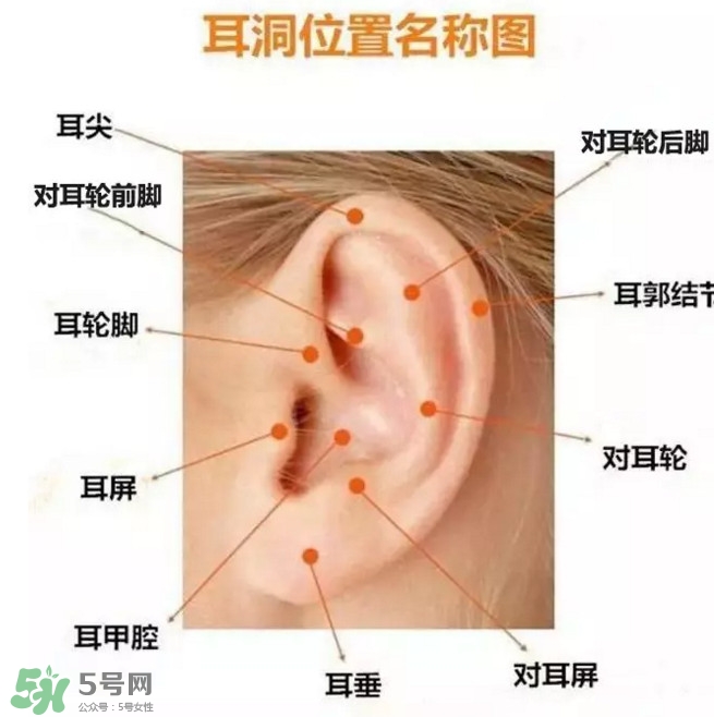 打耳洞多少錢一對？打耳洞相當于什么疼