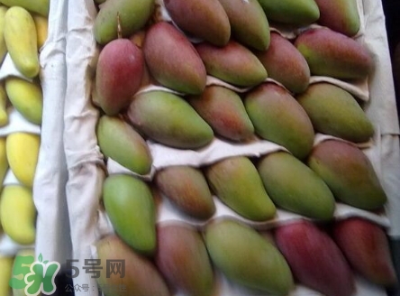 芒果有哪些品種？哪種芒果最好吃？