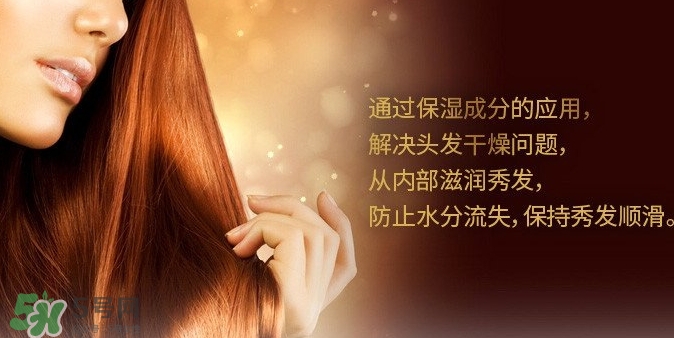 indefinie是什么牌子？indefinie洗發(fā)水怎么樣？