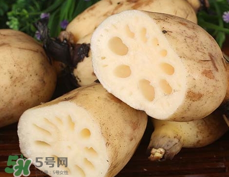 粉藕和脆藕的區(qū)別_粉藕和脆藕怎么選 粉藕和脆藕的區(qū)別_粉藕和脆藕怎么選