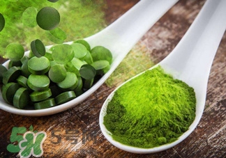 螺旋藻是海帶嗎？螺旋藻是海藻嗎？