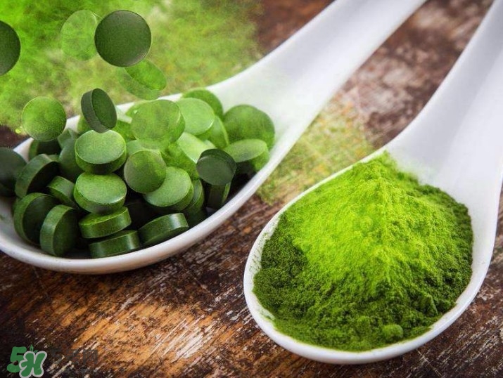 螺旋藻減肥嗎？螺旋藻減肥的正確吃法