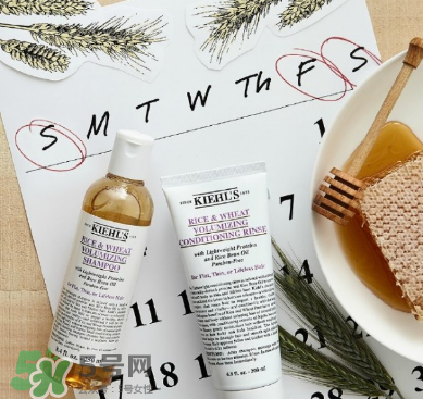 全方位開扒歐萊雅，原來這些都是她家的！