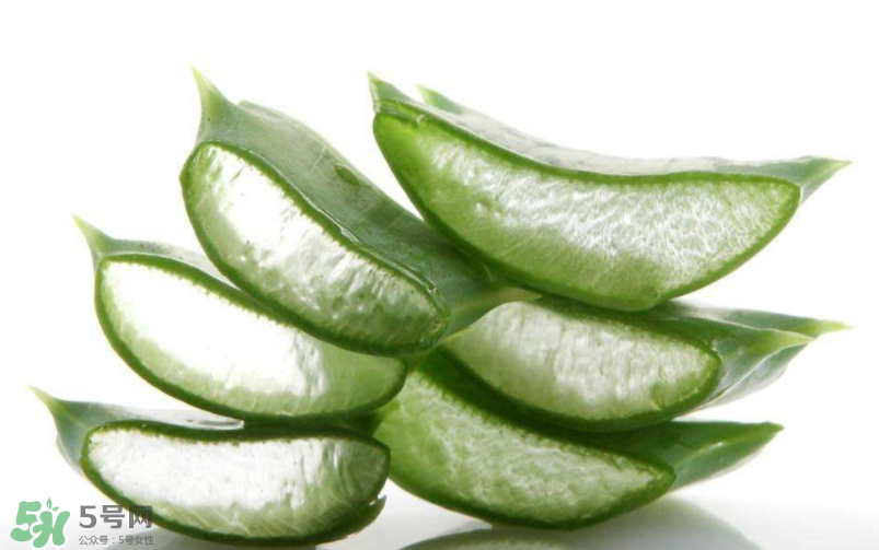 敏感肌能使用蘆薈護膚嗎？蘆薈膠有什么用？