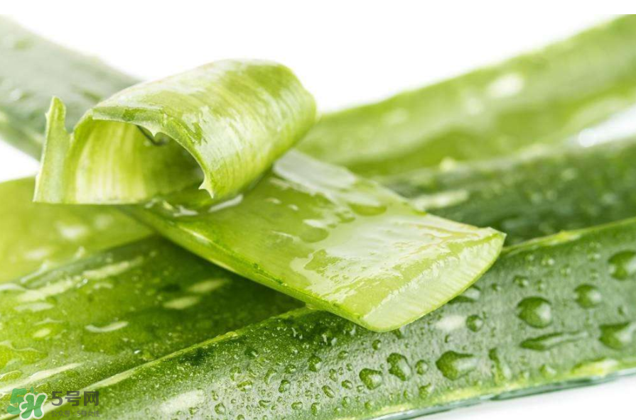 敏感肌能使用蘆薈護膚嗎？蘆薈膠有什么用？