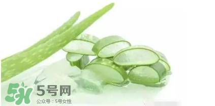 蘆薈怎么吃？蘆薈番茄湯的做法 