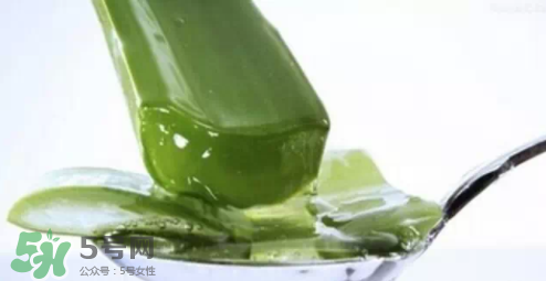 蘆薈怎么吃？蘆薈番茄湯的做法 