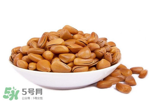 松子什么時候成熟？松子什么時候吃最好