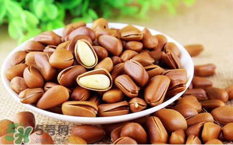 松子什么時候成熟？松子什么時候吃最好